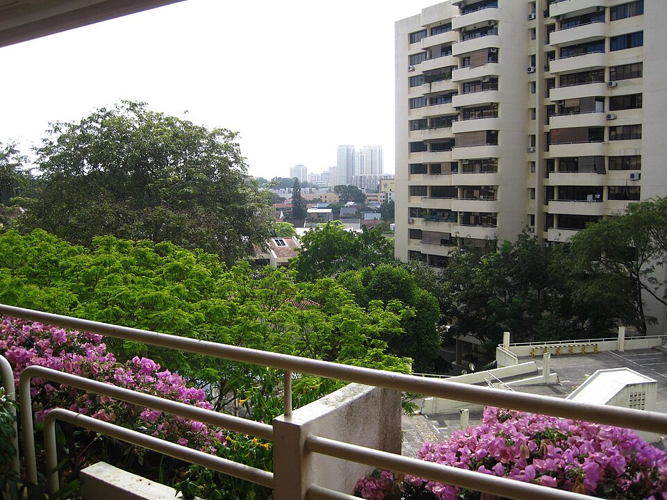 Pandan Valley buildings and gardens, photographed from the development in 2011