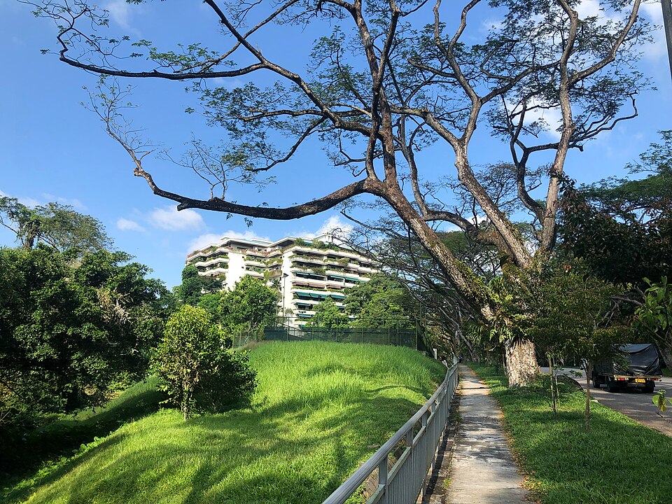 The Arcadia seen from the footpath along Arcadia Road, photographed in 2021